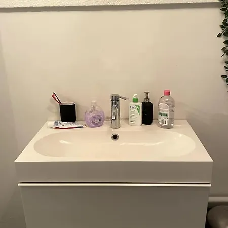 En Otroligt Vacker Med Privat Pool Och En Avkopplande Atmosfaer * Malmo